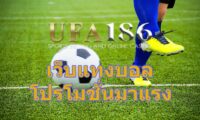 เว็บแทงบอล โปรโมชั่นมาแรง